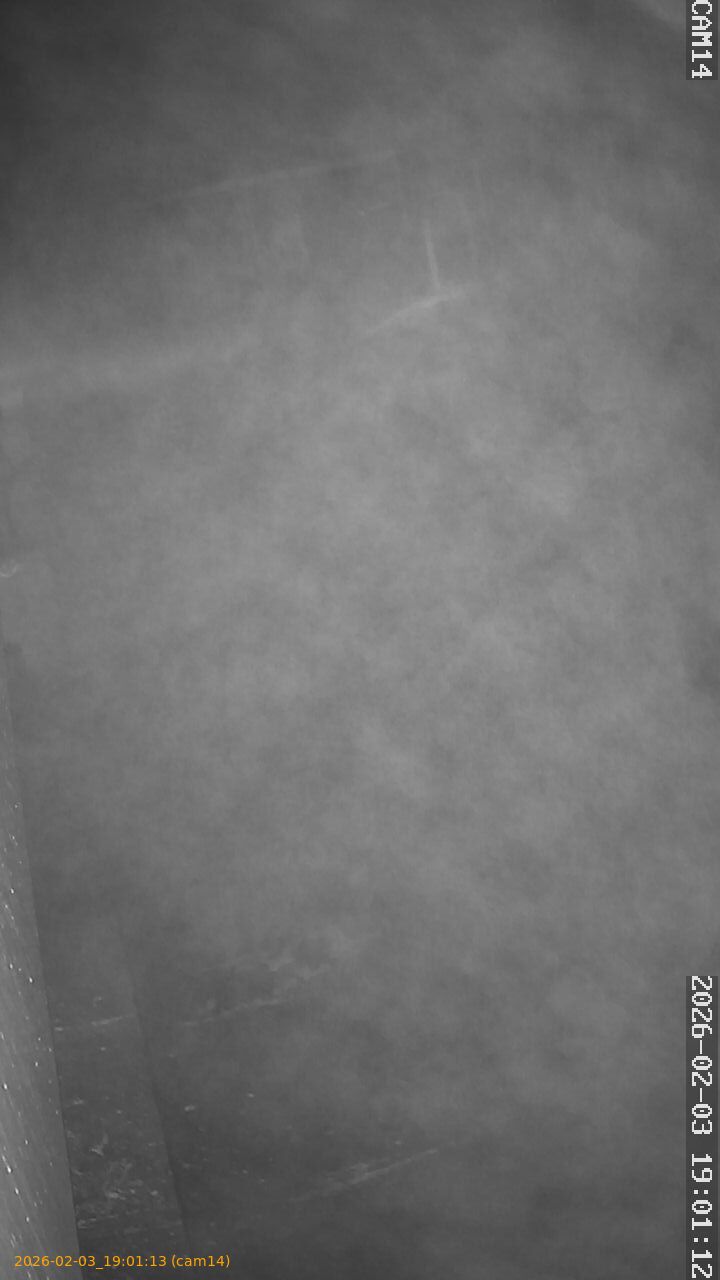 thumbnail_20260203190113