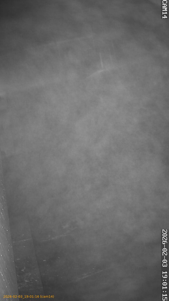 thumbnail_20260203190116