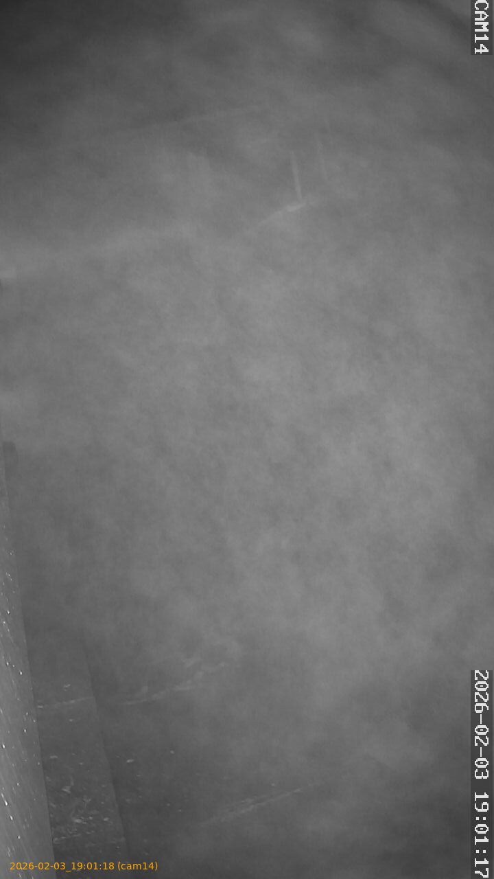 thumbnail_20260203190118