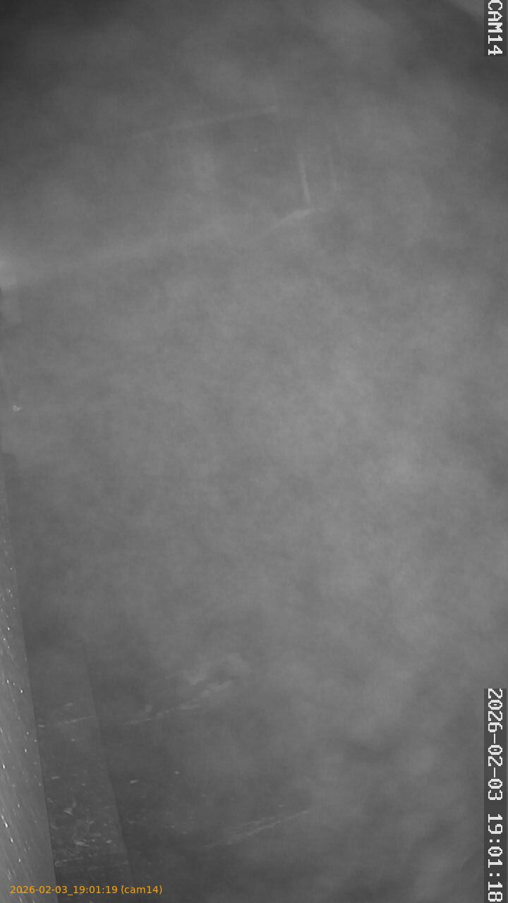 thumbnail_20260203190119