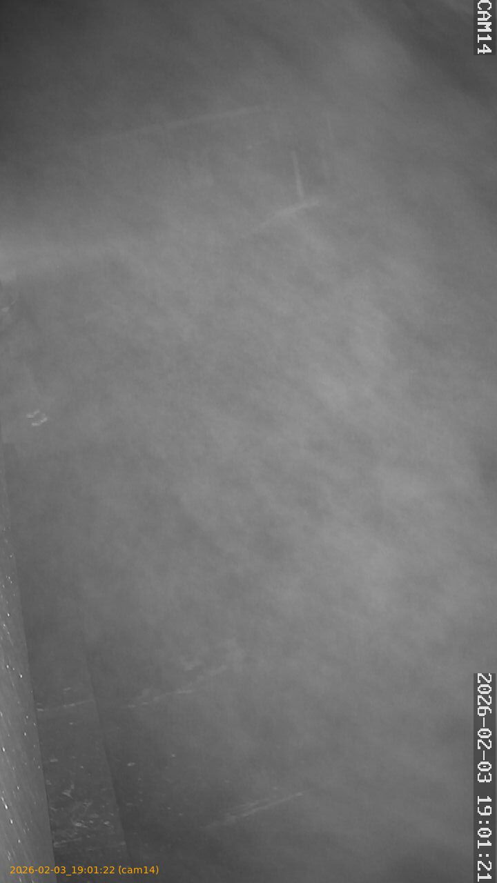 thumbnail_20260203190122