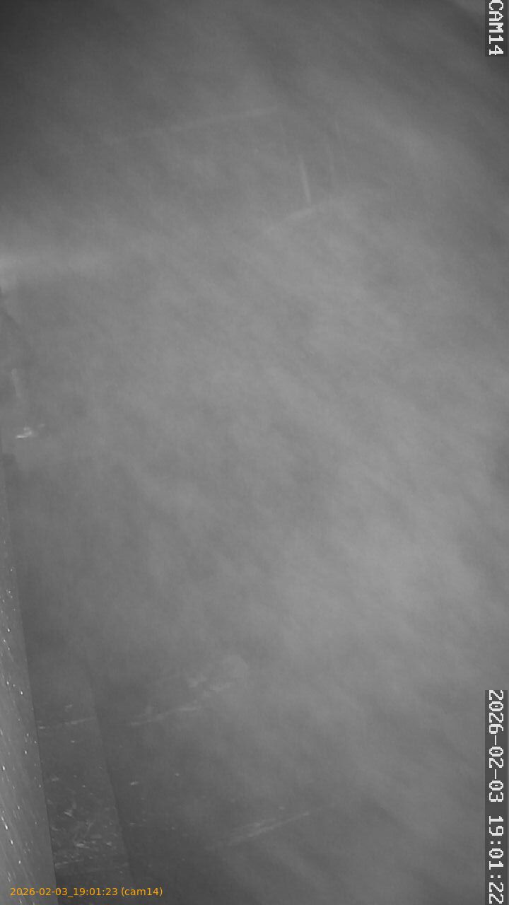 thumbnail_20260203190123