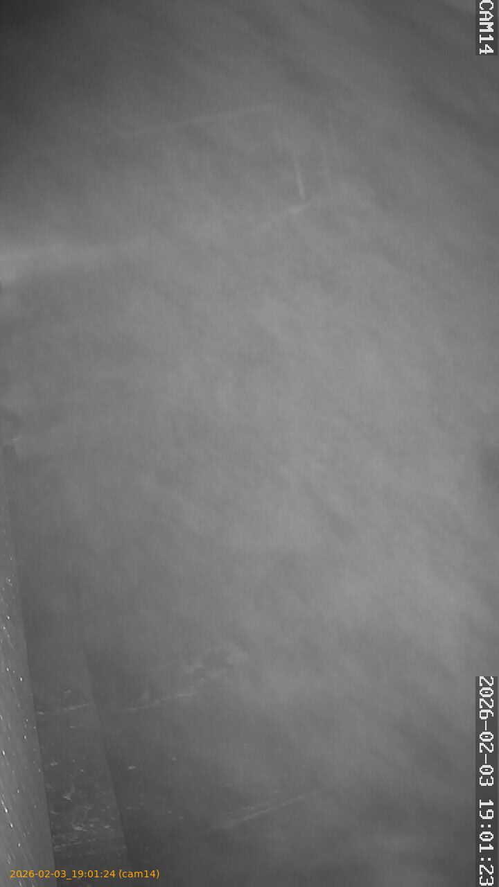 thumbnail_20260203190124