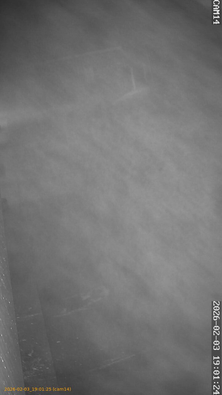 thumbnail_20260203190125