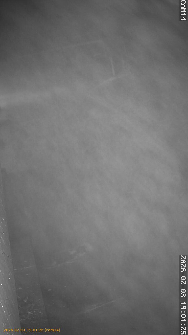 thumbnail_20260203190126