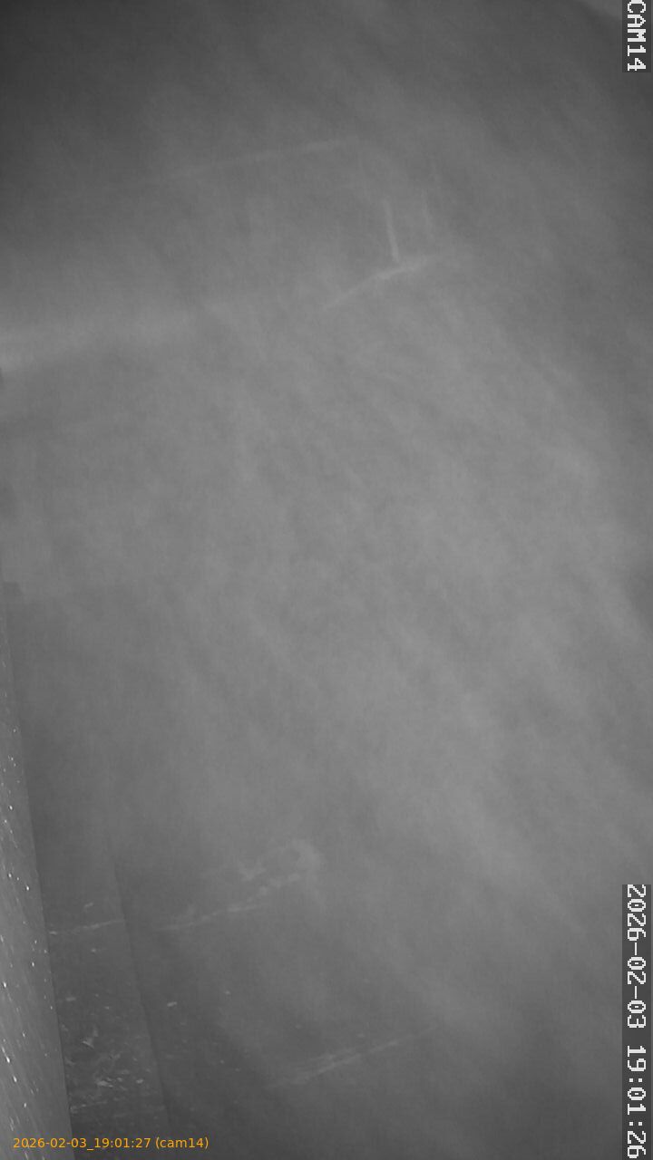 thumbnail_20260203190127