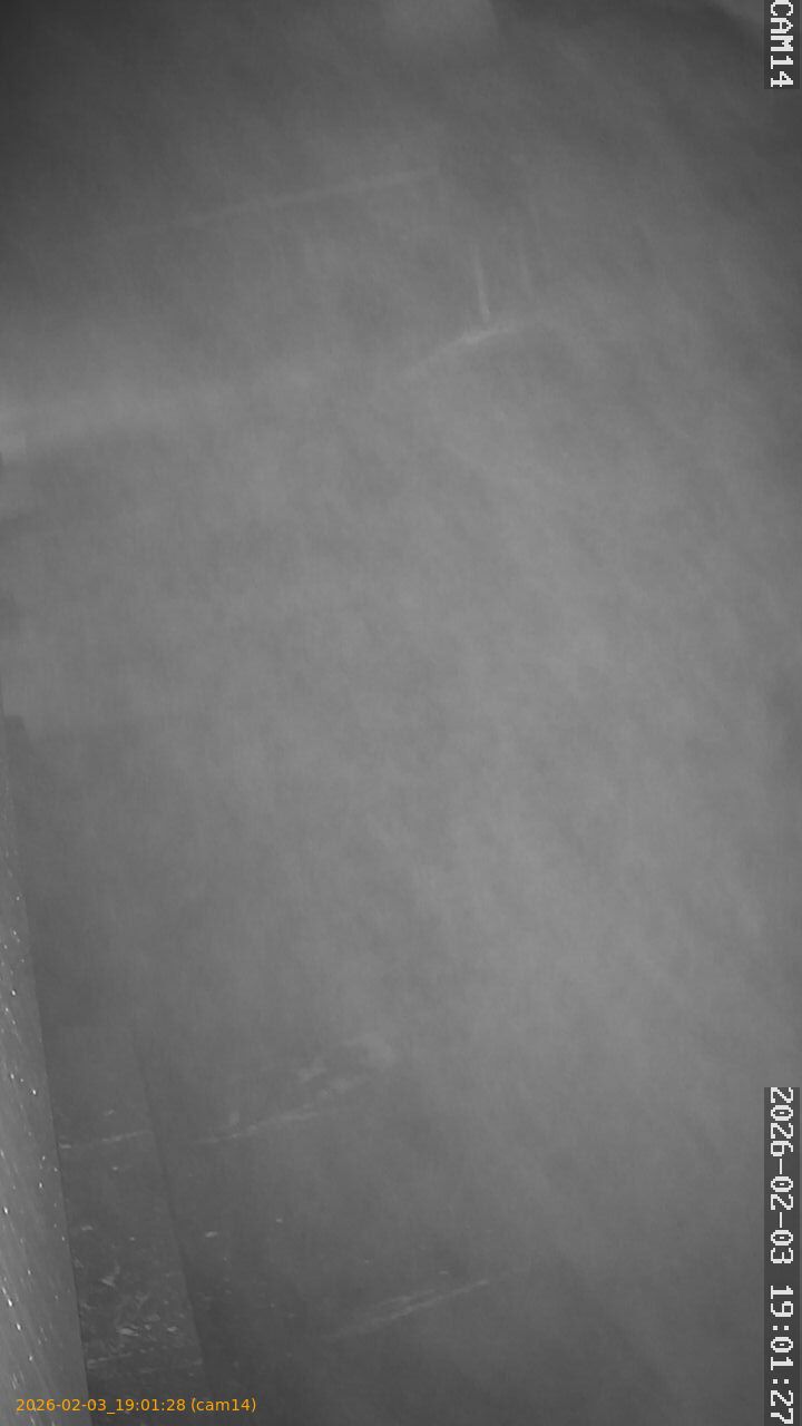 thumbnail_20260203190128