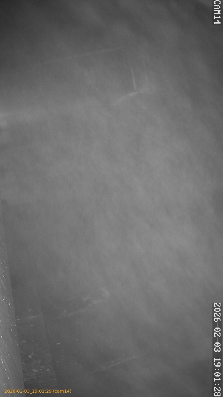 thumbnail_20260203190129