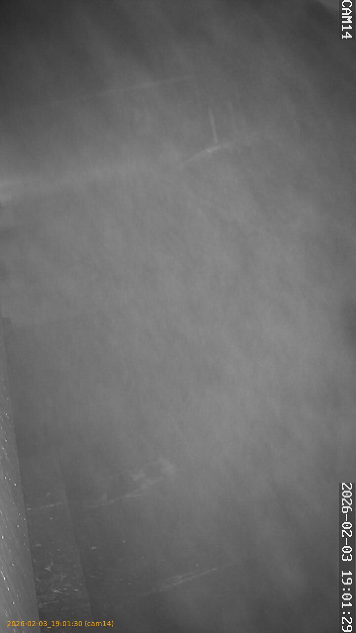 thumbnail_20260203190130