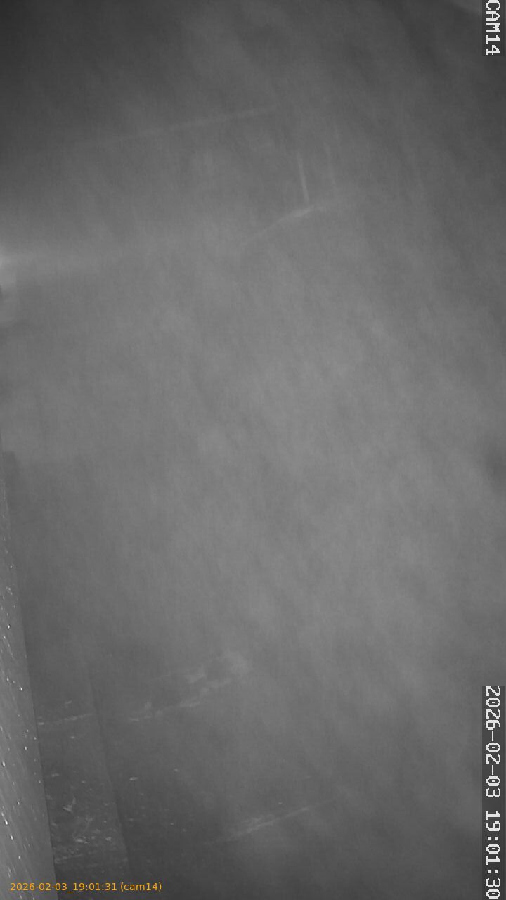 thumbnail_20260203190131