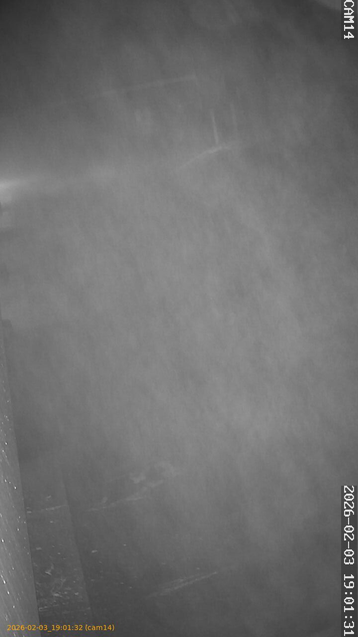 thumbnail_20260203190132