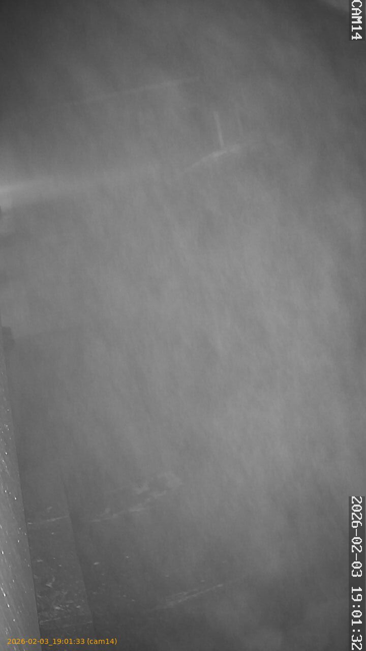 thumbnail_20260203190133