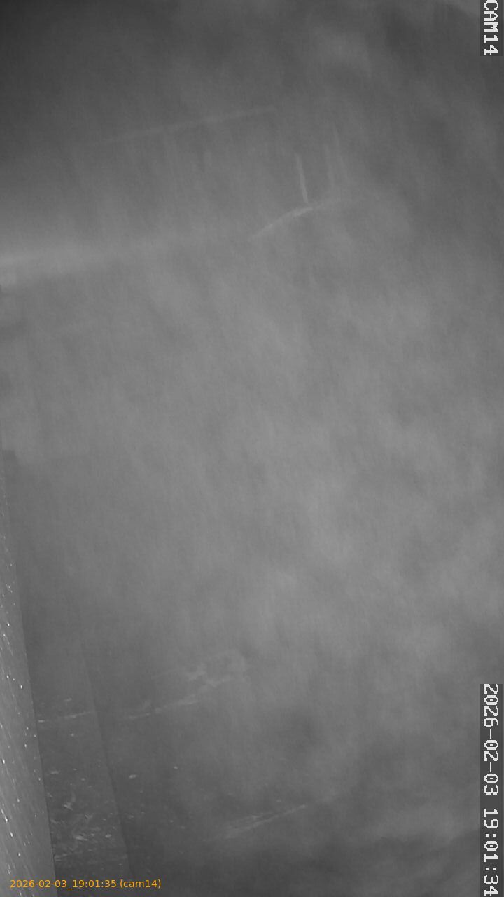 thumbnail_20260203190135