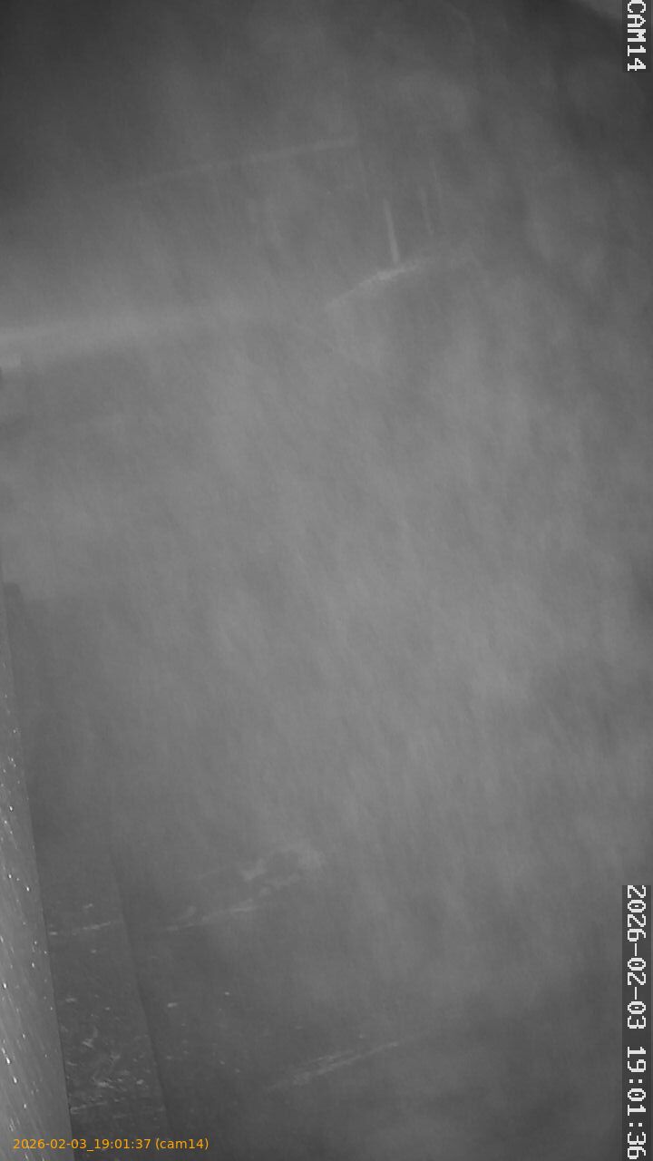 thumbnail_20260203190137