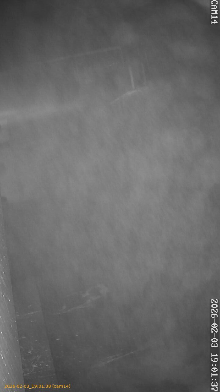 thumbnail_20260203190138