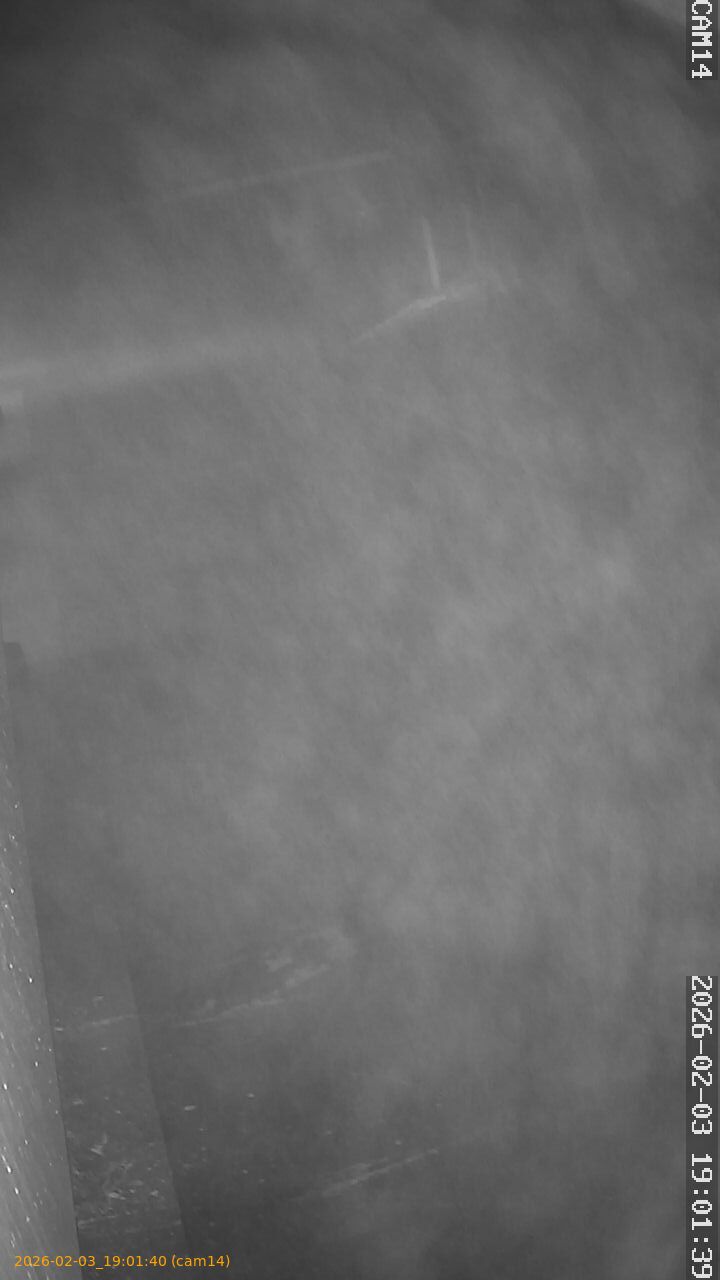 thumbnail_20260203190140