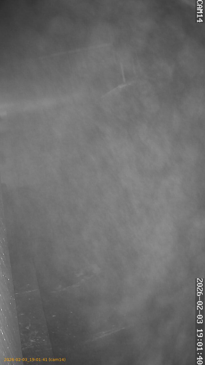 thumbnail_20260203190141