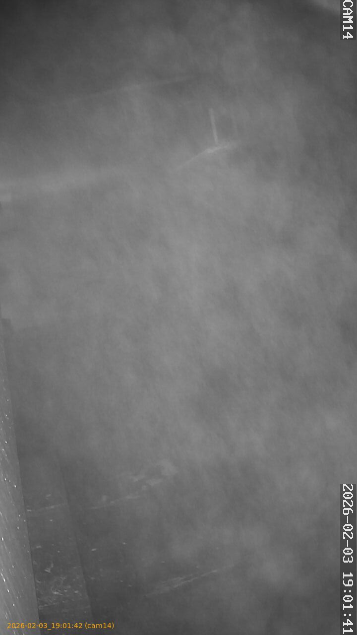 thumbnail_20260203190142