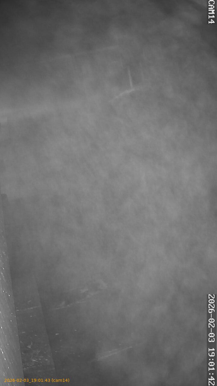 thumbnail_20260203190143