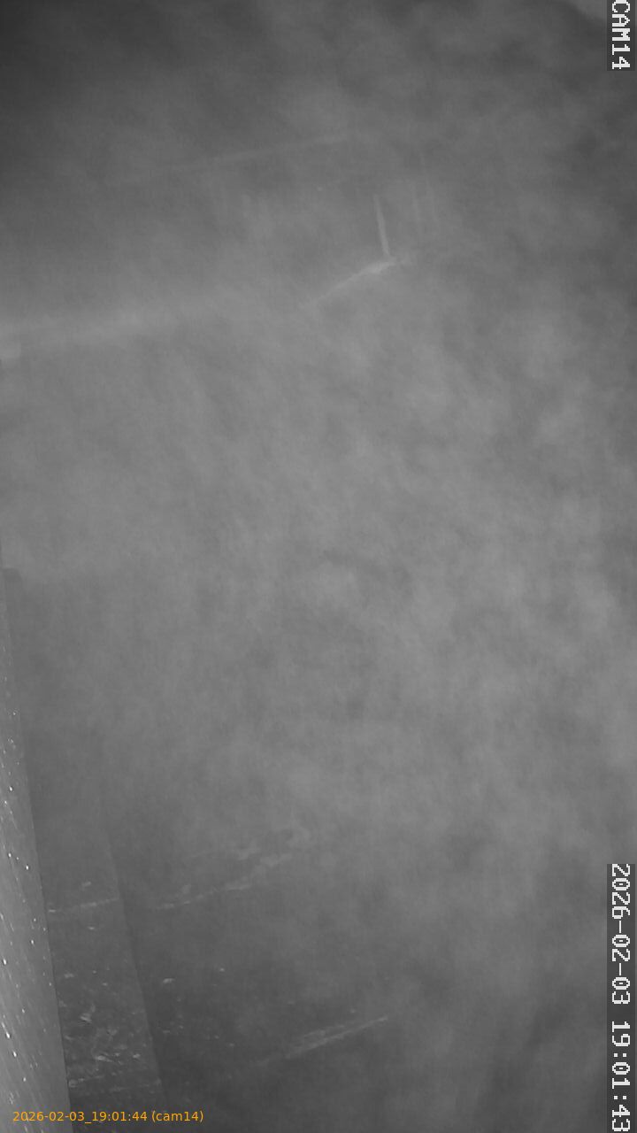 thumbnail_20260203190144