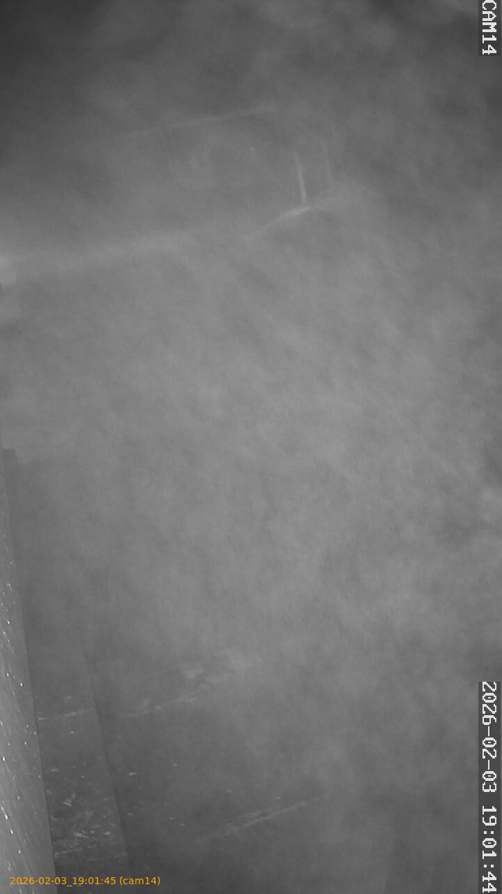 thumbnail_20260203190145