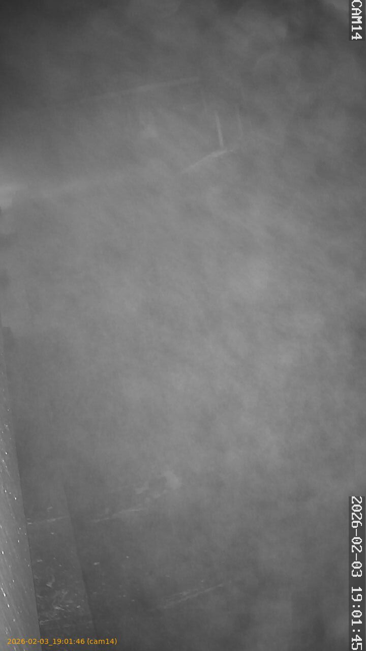 thumbnail_20260203190146