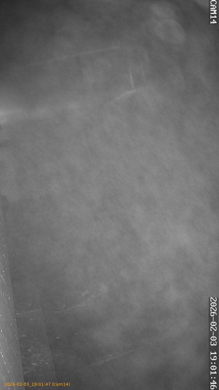 thumbnail_20260203190147