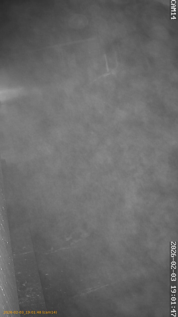 thumbnail_20260203190148