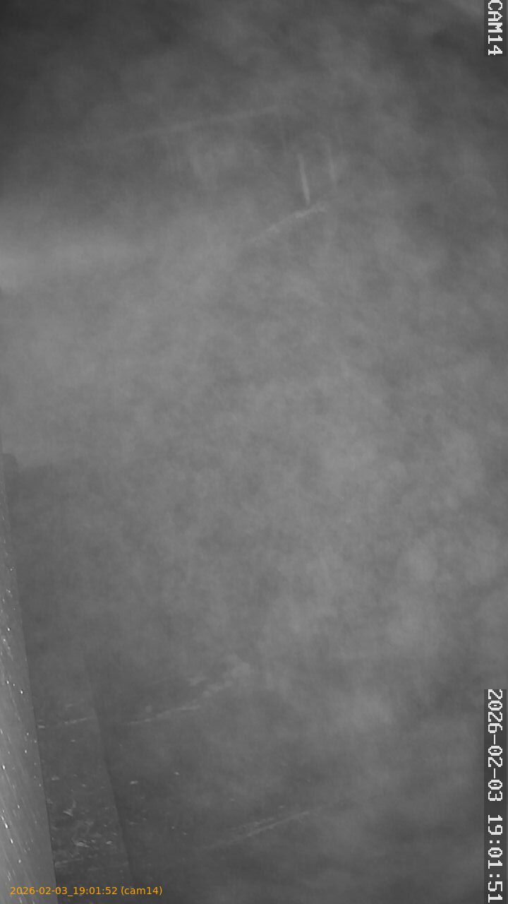 thumbnail_20260203190152