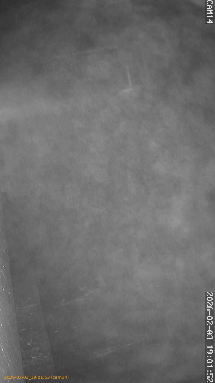 thumbnail_20260203190153