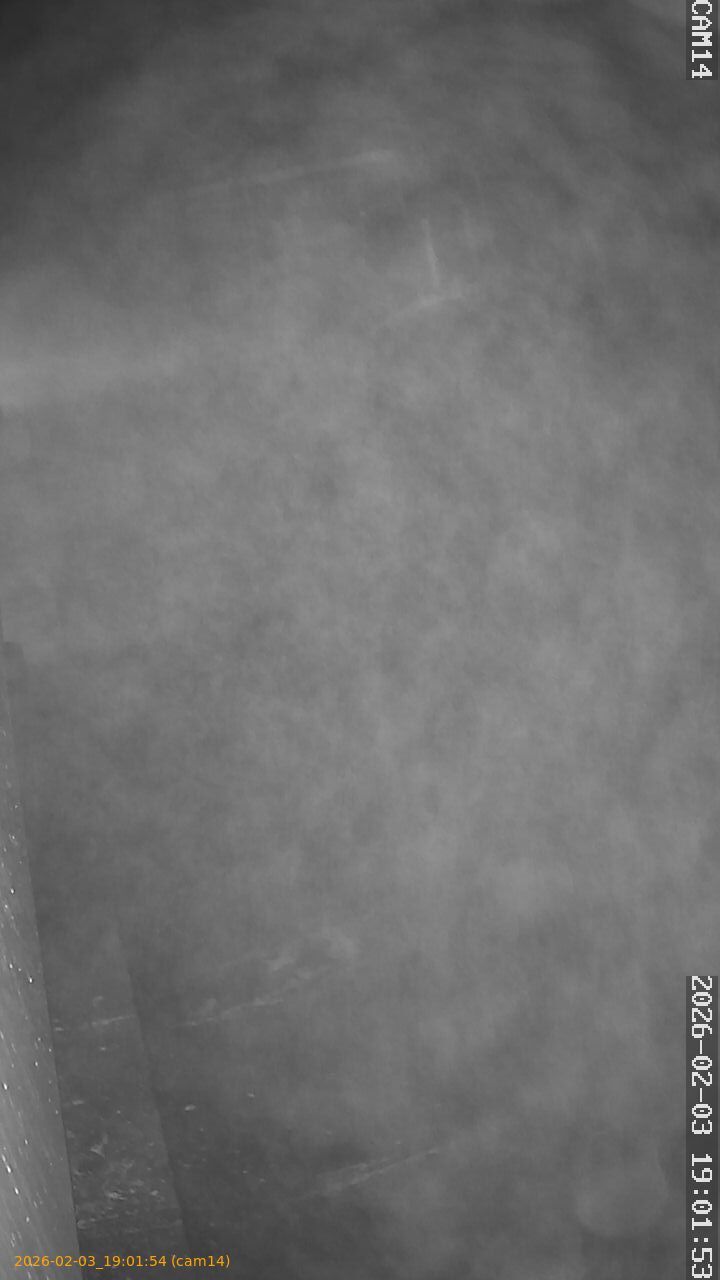 thumbnail_20260203190154