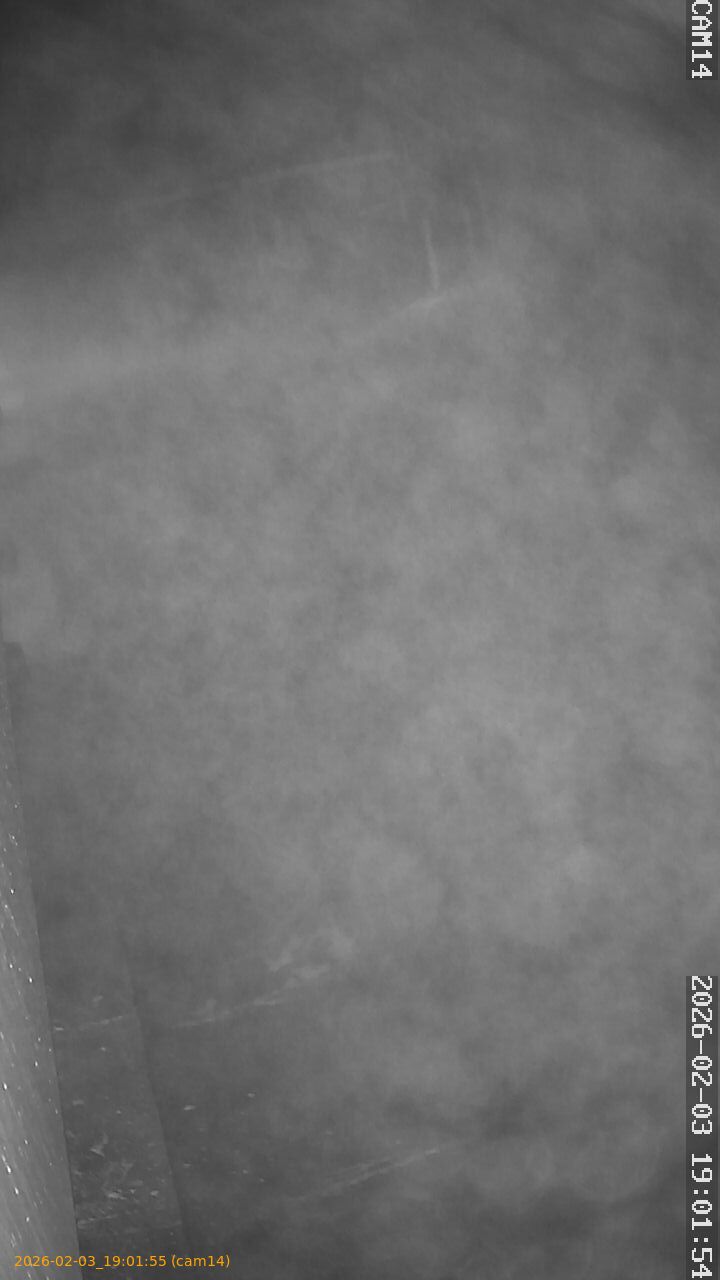 thumbnail_20260203190155