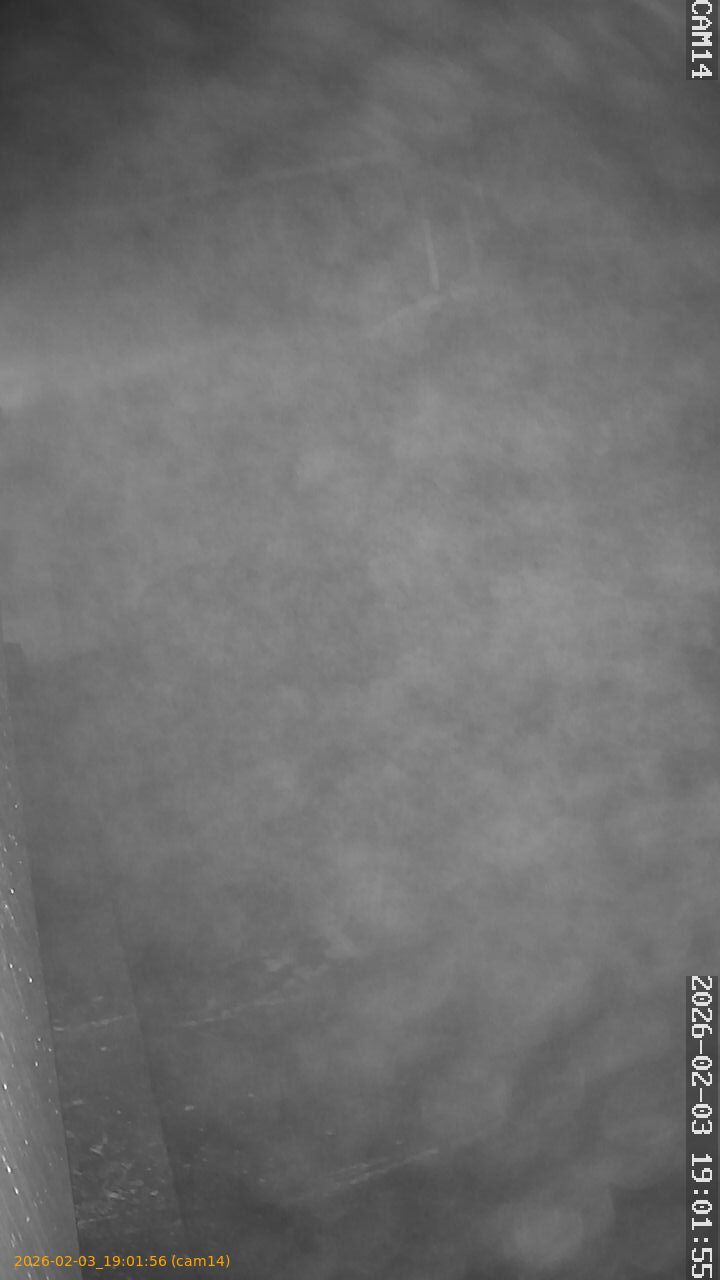 thumbnail_20260203190156