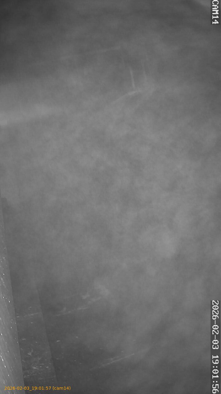 thumbnail_20260203190157