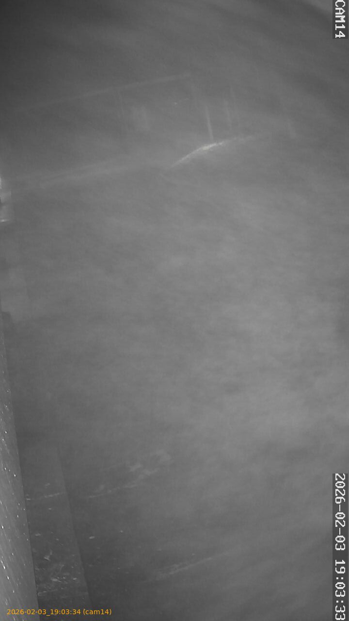 thumbnail_20260203190334