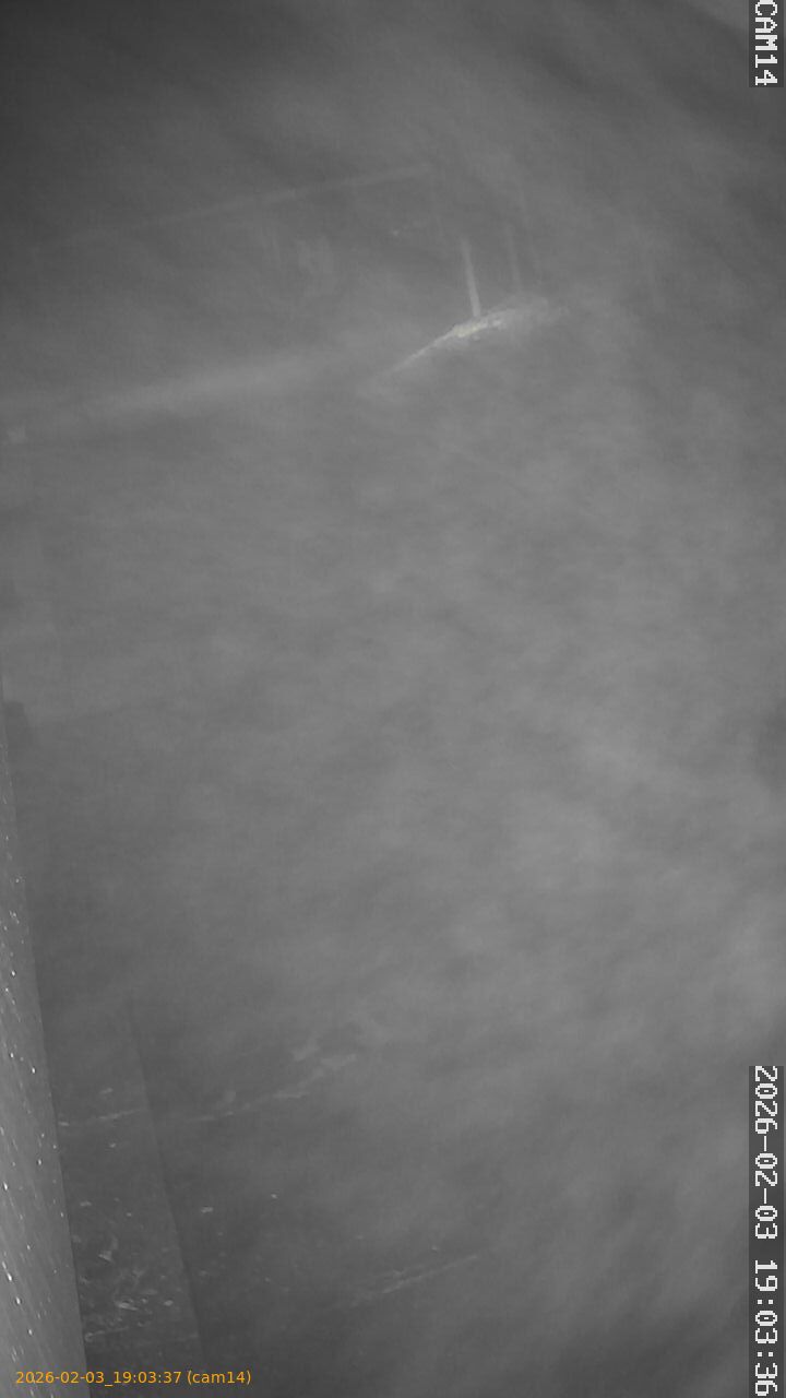 thumbnail_20260203190337