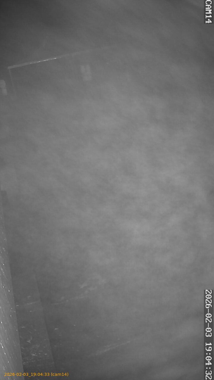 thumbnail_20260203190433