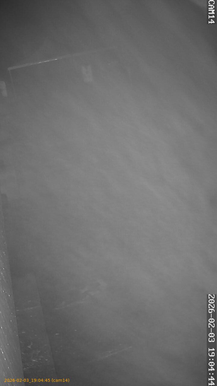 thumbnail_20260203190445