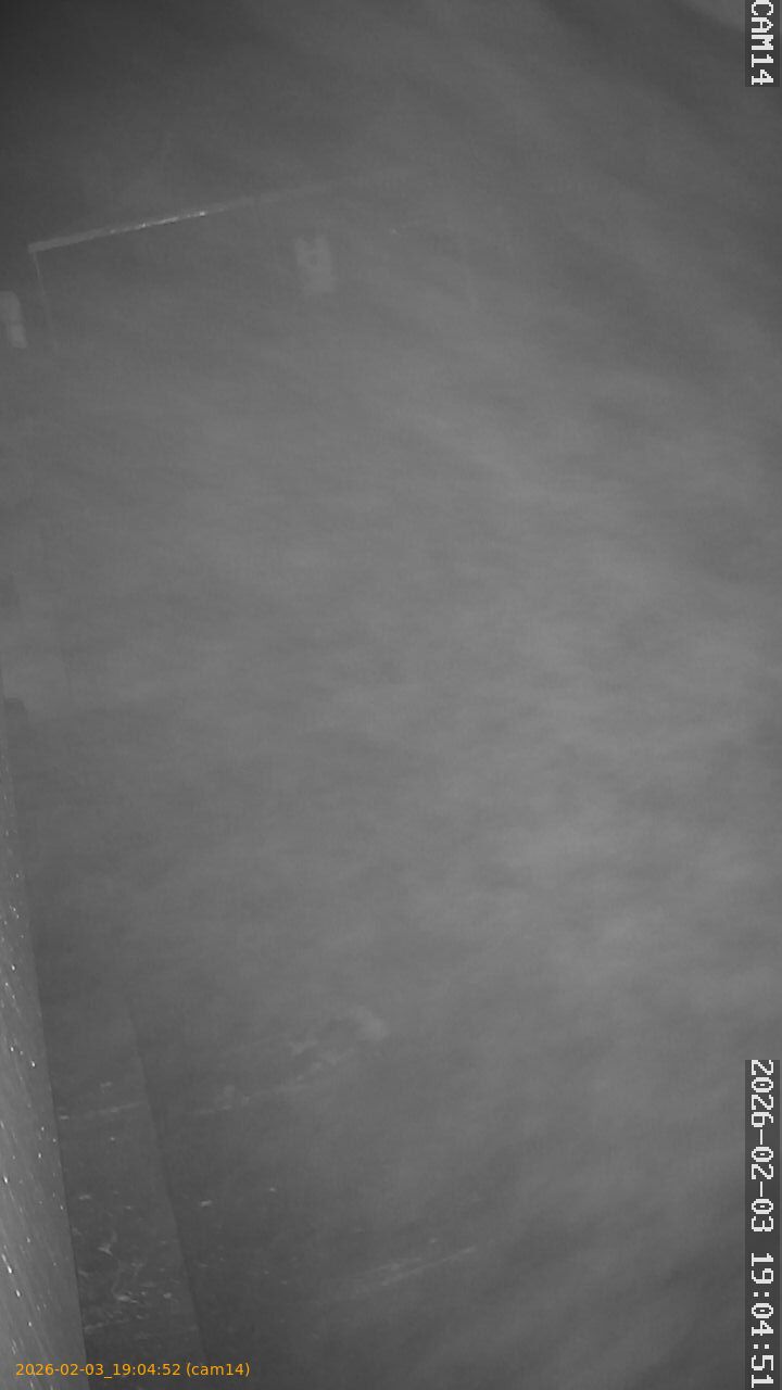 thumbnail_20260203190452