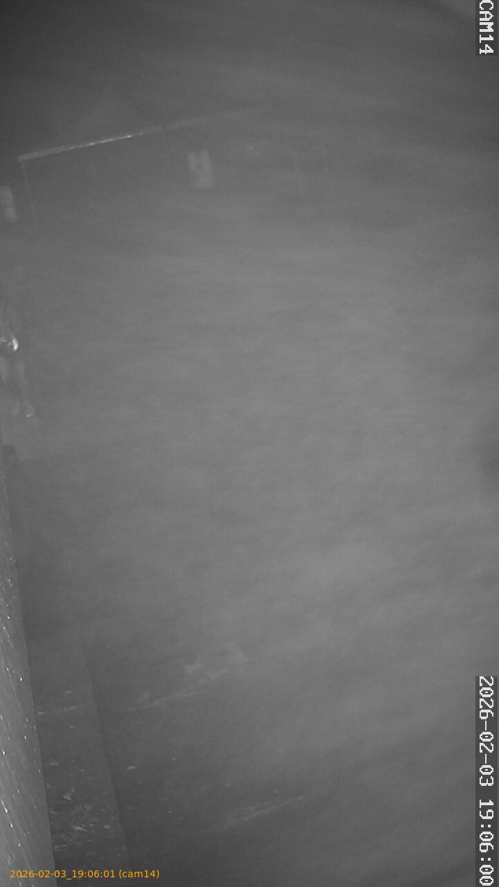 thumbnail_20260203190601