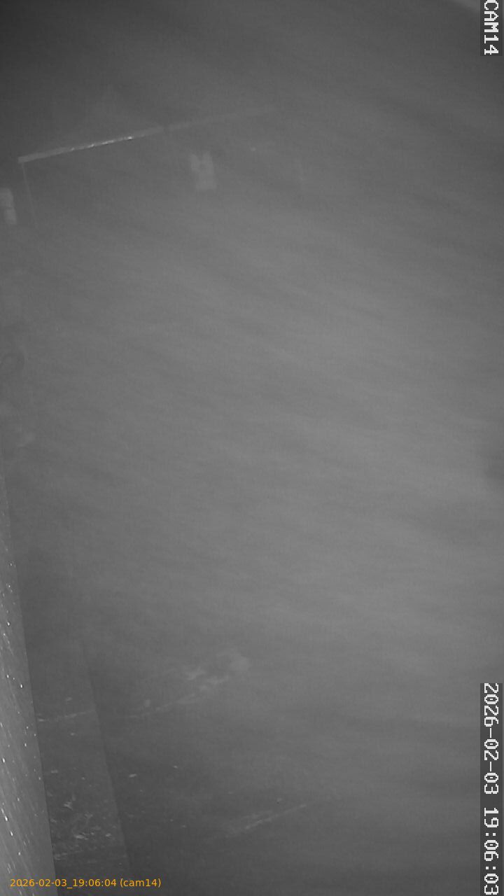 thumbnail_20260203190604