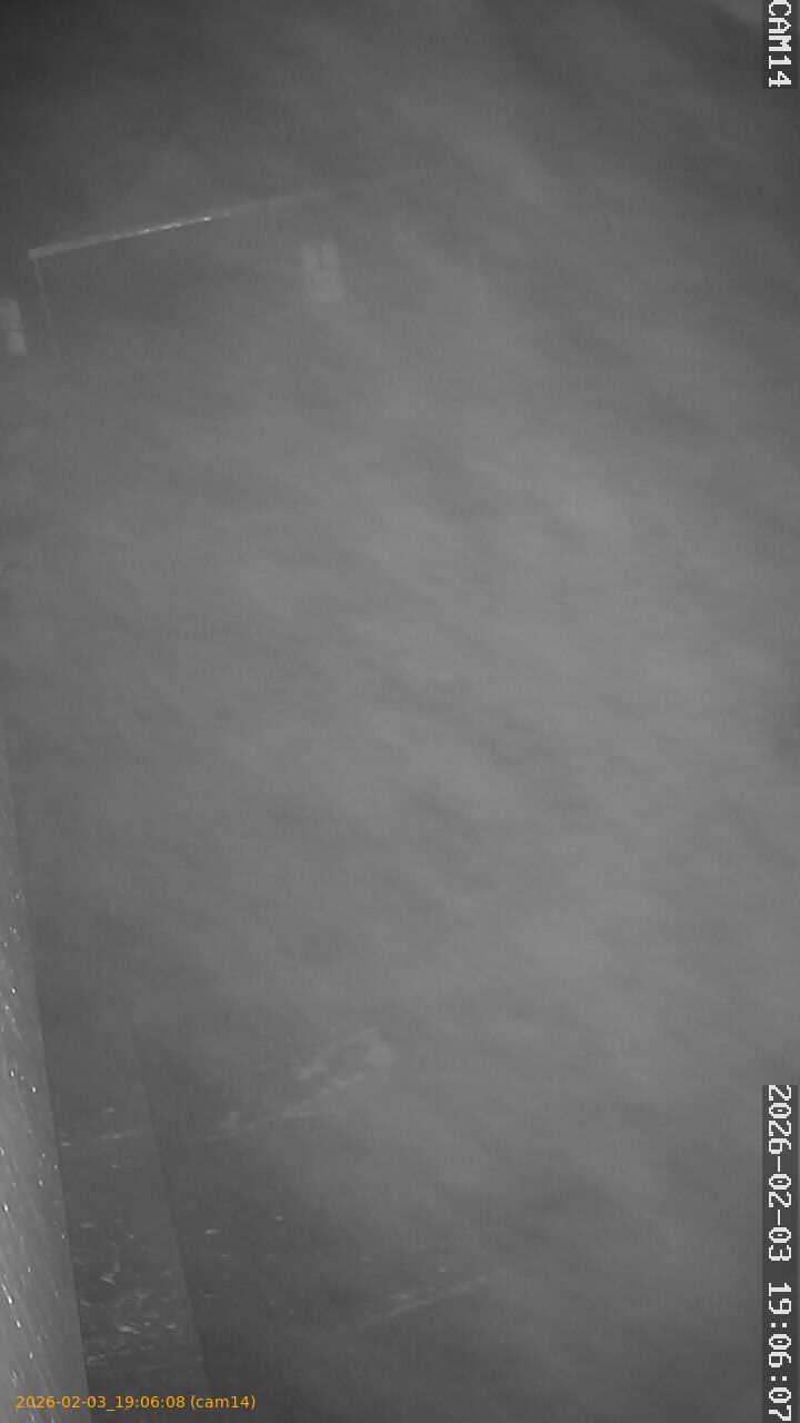 thumbnail_20260203190608