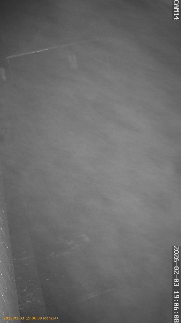 thumbnail_20260203190609