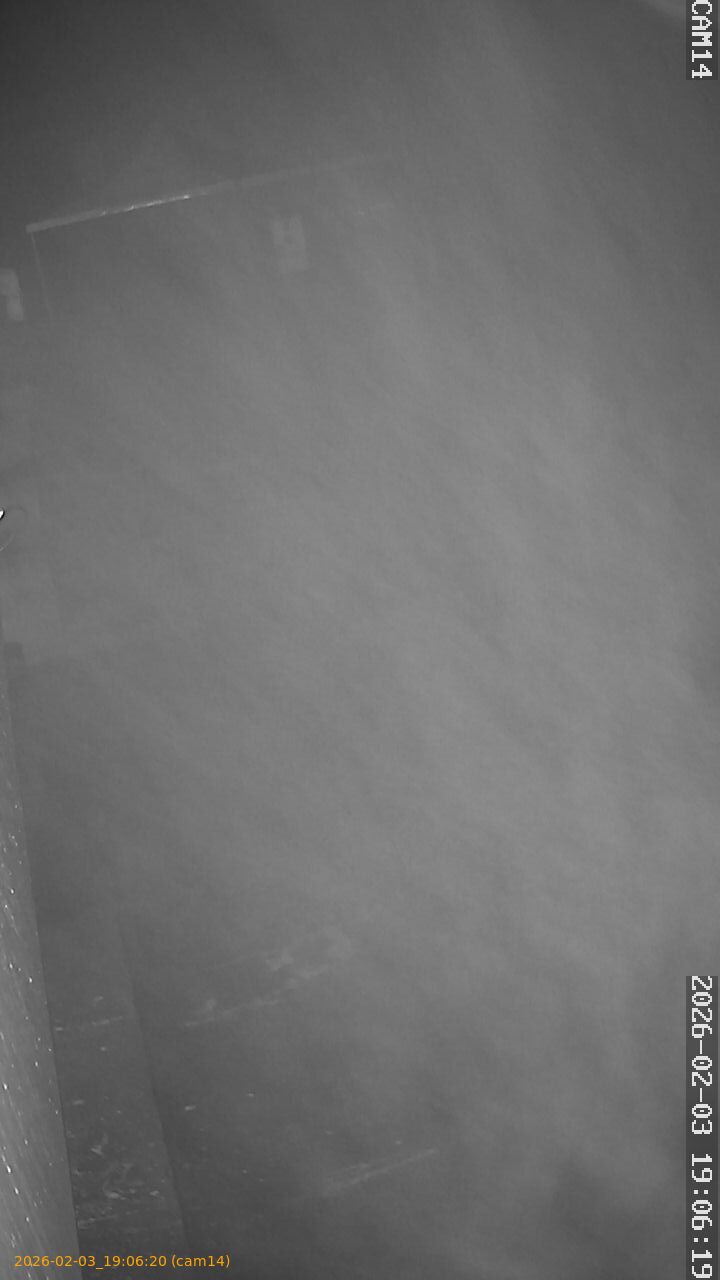 thumbnail_20260203190620