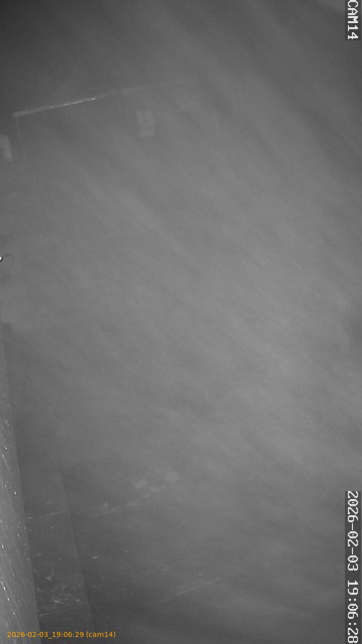 thumbnail_20260203190629