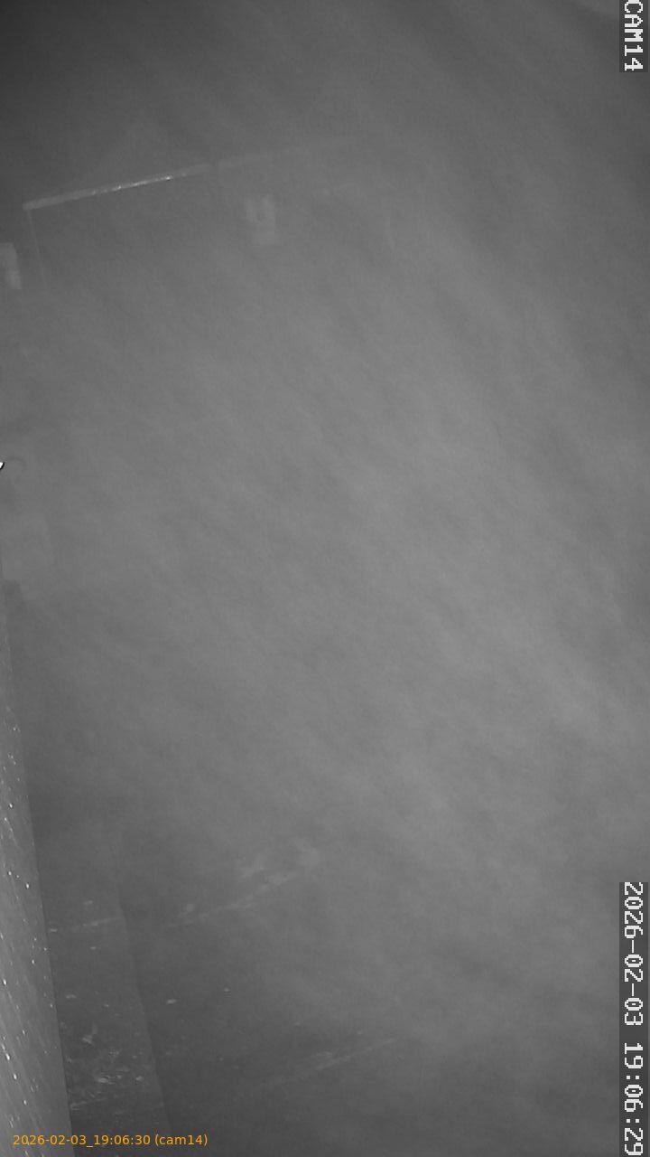 thumbnail_20260203190630