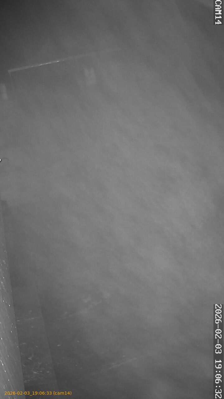 thumbnail_20260203190633