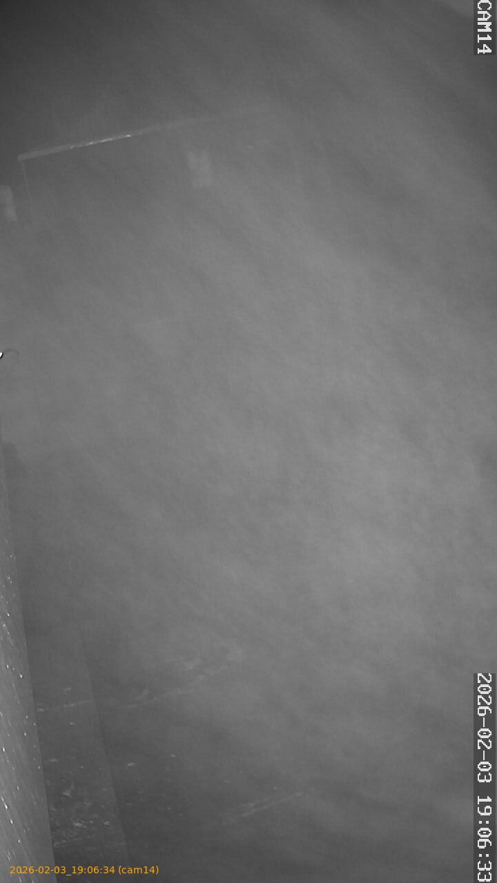 thumbnail_20260203190634