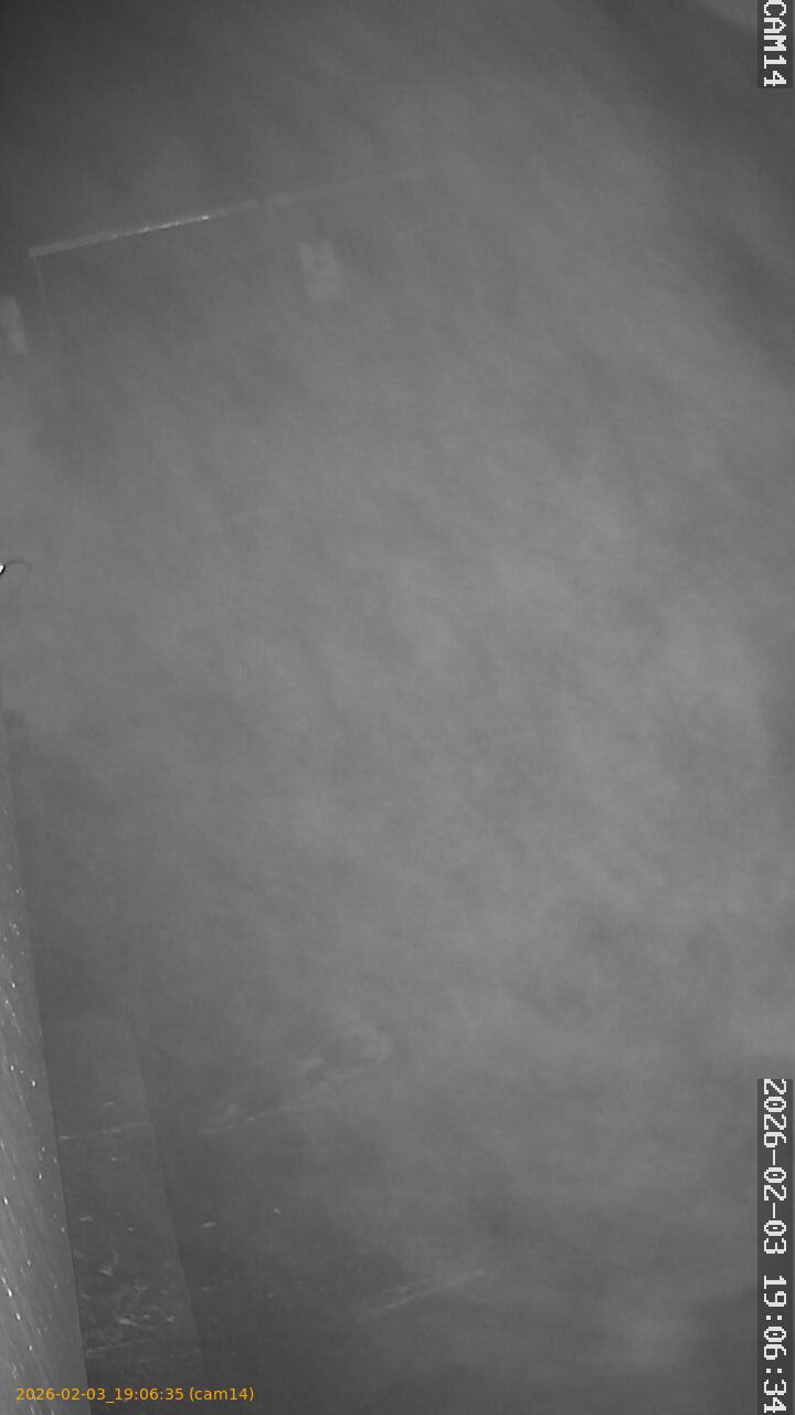 thumbnail_20260203190635