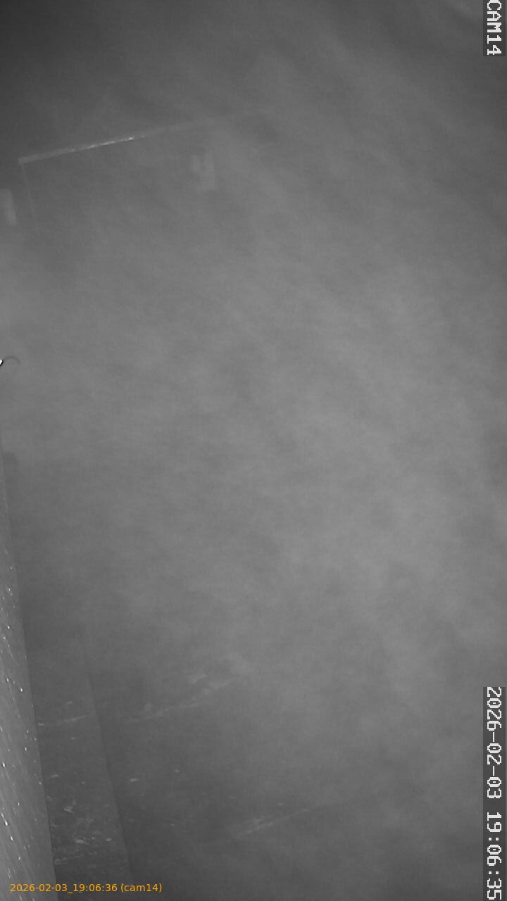 thumbnail_20260203190636